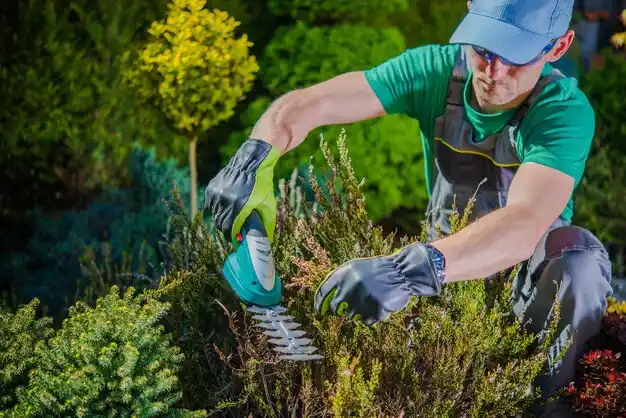 landscaping services Rogers City